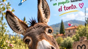 Estado, Tarjeta para dedicar, compartir en redes sociales y estados de whatsapp - Deja que tu Corazón hable y comparte sonrisas.